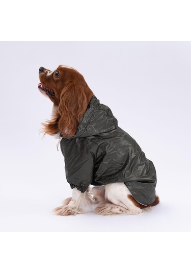 Pettrend Haki Mont Köpek Mont Köpek Kıyafeti Köpek Yağmurluğu