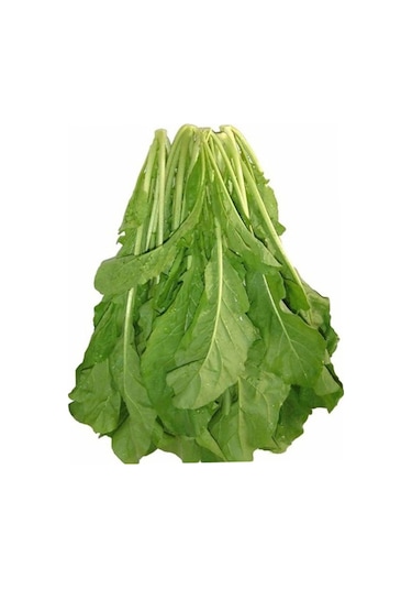 Roka Tohumu Yerli Roka Tohumu Yetiştirme Kiti