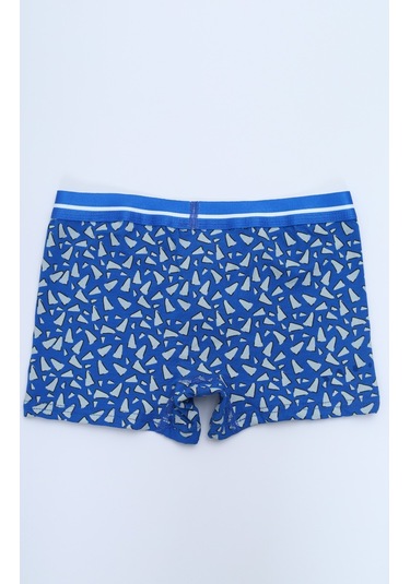 Toontoy Erkek Çocuk Garni Dikişli 4lü Paket Boxer Çok Renkli