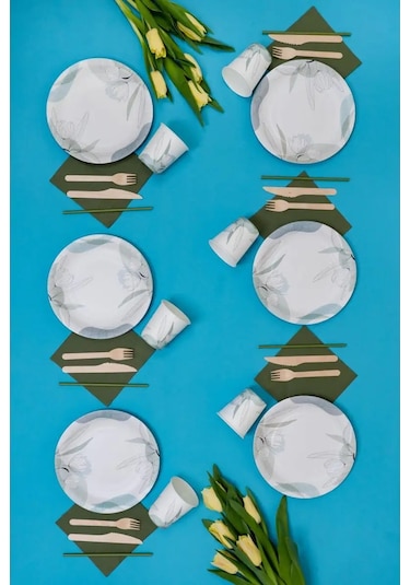 Albeta Parti İçin 20 Kişilik Tek Kullanımlık Sofra Takımı 156771821 100 adet