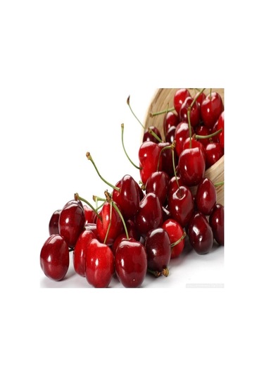 Tüplü Yarı Bodur Kütahya Vişne   Fidanı