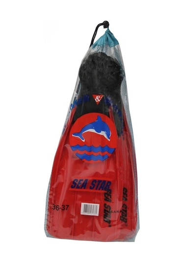 Sea Star Deniz Paleti - Çocuk Çok Renkli