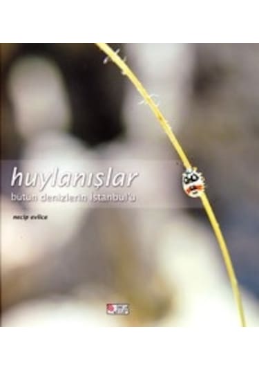 Huylanışlar - Bütün Denizlerin İstanbul´u