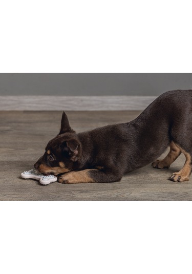 Beeztees Yavru Köpek Diş Oyuncağı, İçi Dolu Halka, Kauçuk, Pembe, 10cm