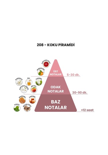 BEX 208 Kadın Parfüm EDP 50 ML