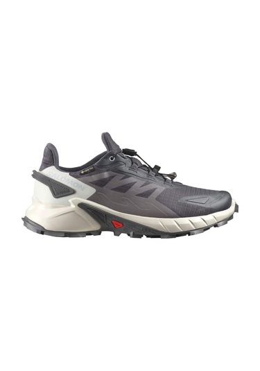 Salomon Supercross 4 Gore-tex Kadın Patika Koşusu Ayakkabısı Gri
