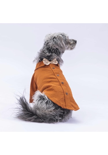 Pawstar Kahverengi Linen Look Kedi Köpek Gömleği
