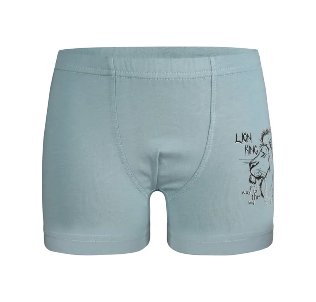 Donella 5 Adet Çocuk Külotu Seti 388120021 Gri