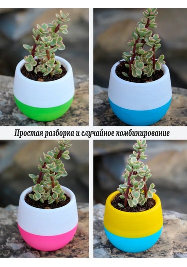 Saburg 3'lü Saksı Seti, Otomatik Sulamalı, 450 Ml 271400138