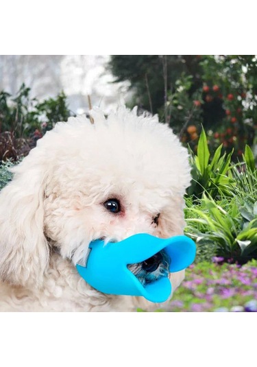 Homyl Küçük Orta Köpekler Için Köpek Ağızlığı M