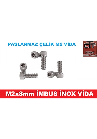 M2  İmbus İnox  Paslanmaz  Vida  M2x8 12 ADET
