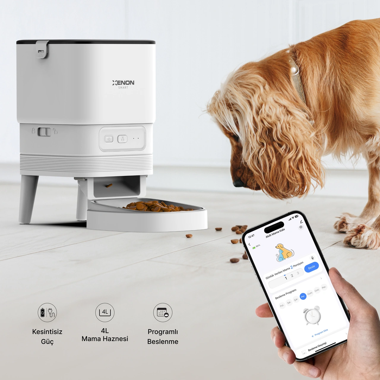 Xenon Smart Akıllı Otomatik Kedi Tuvaleti 4lt Çelik Hazneli Mama Kabı Bataryalı Su Pınarı Ve Yedek Filtre Pet Seti