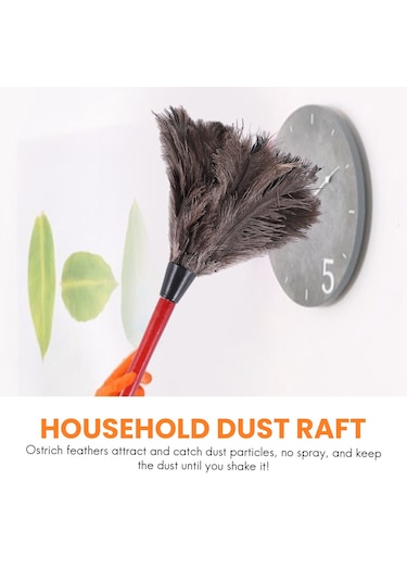 Devekuşu Temizleme Tüyü Silgi Devekuşu Silgi Devekuşu Tüyü Silgi Yumuşak Tüyler Silgi Mobilyadan Çeşitli İşlerin Vantilatör Kanatlarına Fotoğraf Rengi