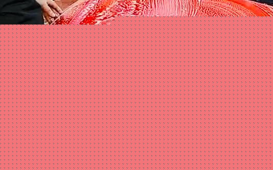 Newmix Koyun Yünü Oto Yıkama Eldiveni