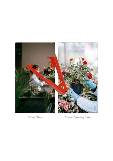 Pazly Pratik Ve Dayanıklı Çelik Gül Diken Soyucu - Tek Elle Kullanım İçin Mükemmel