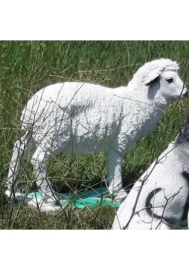 M3 Koyun Kuzu Iç Ve Dış Mekan 50Cm Bahçe Oda Çimenlik Köşe Heykeli Antrasıt - Beyaz