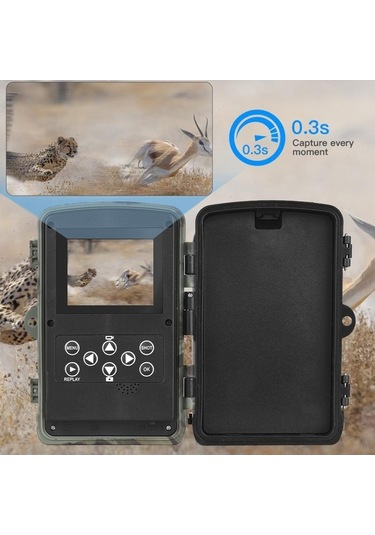 Dancemonkey Kamerası Gece Görüşlü Hareketle Etkinleştirilen Su Geçirmez 2.7k 24mp 120 Yaban Hayat Çok Renkli