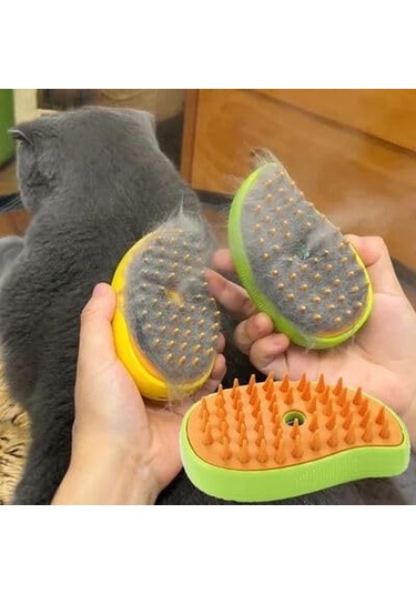 Focal Kedi Tarağı Buharlı