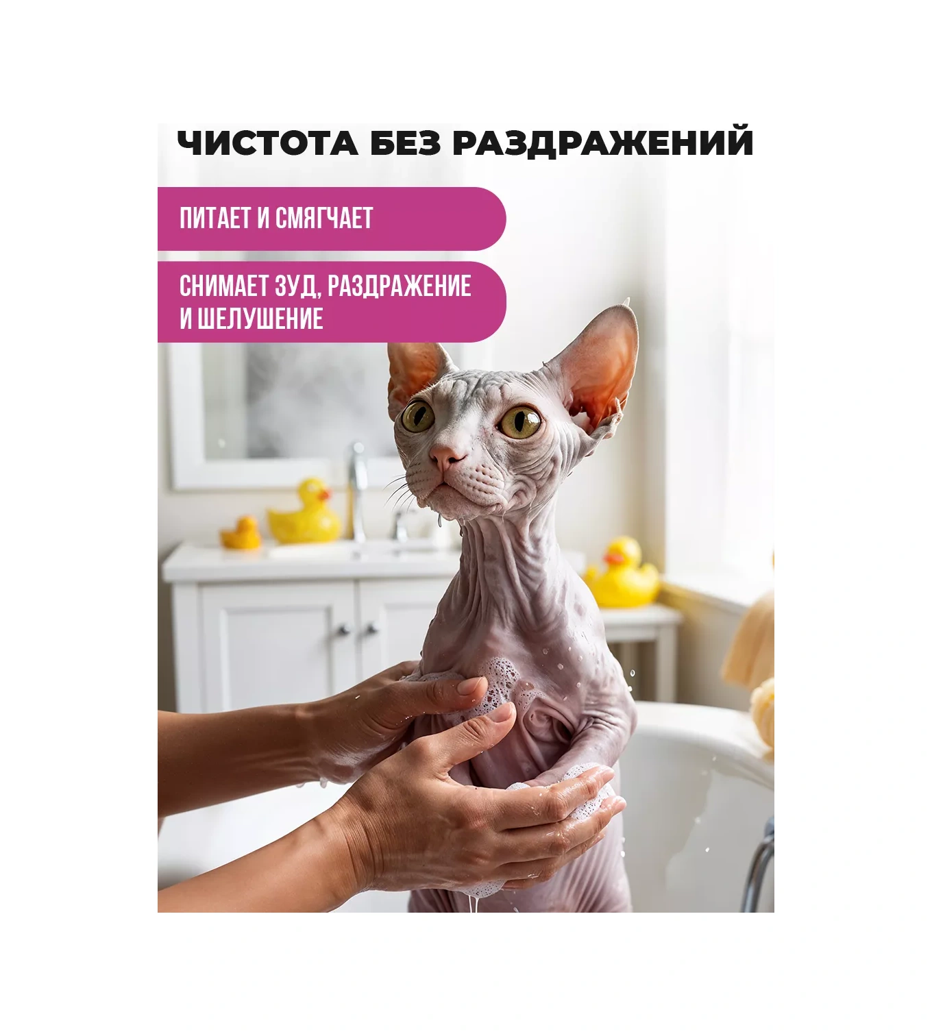 Spets Sarı Saçsız Ve Kısa Tüylü Kediler İçin Shampoo 259023219