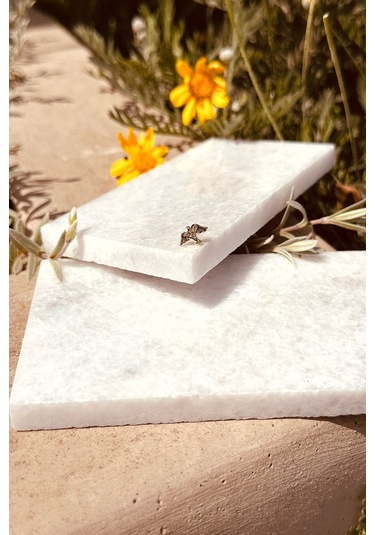 Eagle Kartal Kuş Model Şık Altın Renk Piercing Tragus Helix Çelik Stainless Steel Altın