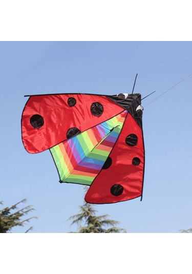 Suntek Delta Kite Fly Uçurtma Spor Bahçesi Için Büyük Kanat