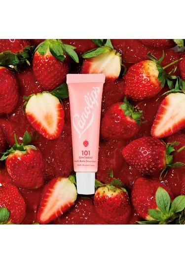 Lanolips 101 Ointment Multibalm - Dubak Balmi 10 G