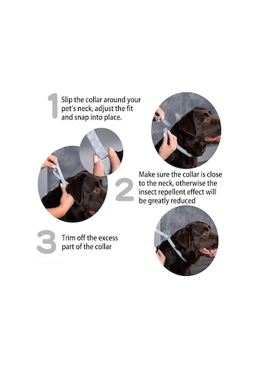 Pire Ve Kene Yaka Köpekler İçin Alüminyum Kasa İle Kediler, Boyut: 72cm Turuncu Çok Renkli