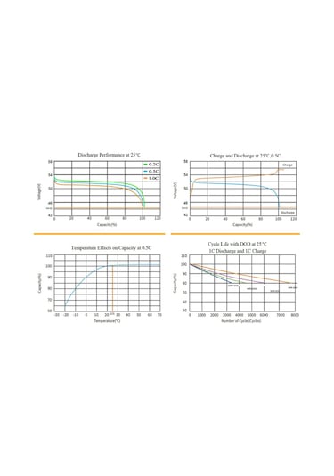 LEXRON 100AH 48V LİTYUM AKÜ  LiFePO4