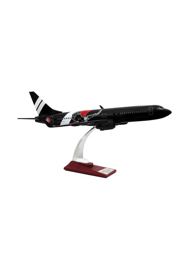 Zekupp Boeing 737-800 1/100 Ölçek Siyah Kartal Tasarımlı Maket Uçak
