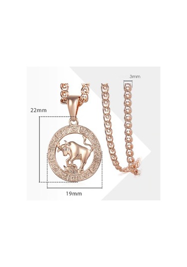 Saatcaddesi Pigado Astroloji Burçlar Kolye Rose Renk Özel Kutusunda Metal