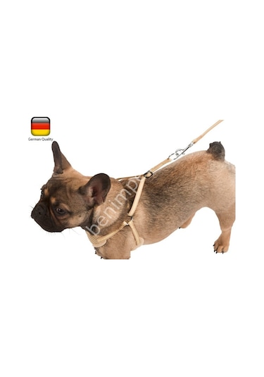 Yavru Köpek Tasması Puppy Harness 30 - 50 Cm Bej