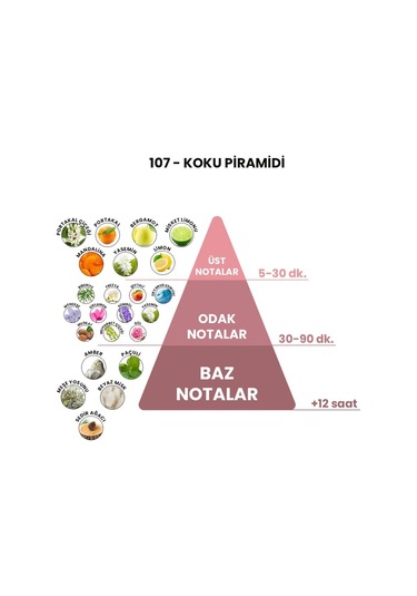 BEX 107 Erkek Parfüm EDP 50 ML