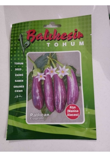 Balıkesir Tohum Patlıcan Manisa Alacası