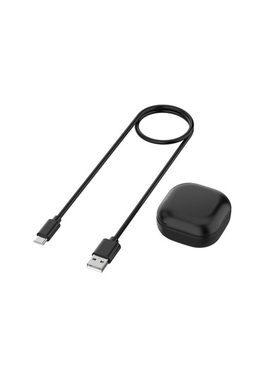 Yaozixa Samsung Galaxy Buds Pro R190 Ve Buds2 Pro İçin Siyah Seyahat Şarj Kutusu, Kulaklık Depolama Ve Şarj Fonksiyonu - Uyumlu Koruyucu Kutu Uygun İçin Çiçek Bütçeleri Pro R190 Siyah