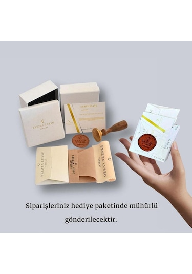 Brezza Lusso Jewelry Kırmızı Taşlı Kırılmaz Kalp Kadın Gümüş Kolye Gümüş