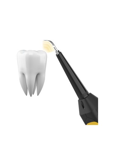 Jyq-023 Ağız Diş Temizleme Ve Bakım Aracı Ev Elektrikli Diş Aleti, Sarı Diş Ve Tütün Lekelerini Çıkarmak İçin Siyah + Diş Yüzeyi Temizleme Kafası