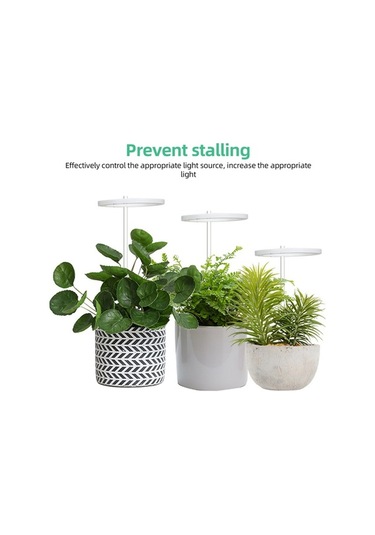 Reedark İç Mekan Bitki Büyütme Işıkları 3 Kafa 6.2 W Güneş Işığı