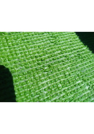 Yapay Çim 8 Mm Çim Halı Suni Çim Yapay Çim Halı Balkon Çim Halı