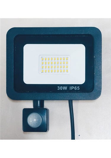 Pelsan Tio 30 W Sensörlü Projektör