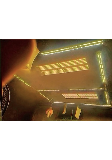 240w Lm283b Bitki Yetiştirme Lambası Full Spektrum