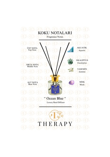 Therapy Smell Ocean Blue Lüks Çubuklu Oda Kokusu Extra Clear Silindir Cam Şişe 120 ML