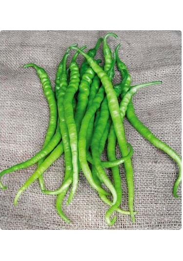 Paket Tatlı Sivri Kıl Biberi Tohumu 300 Tohum + Tohum