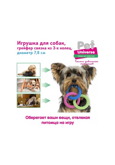 Pet Universe Köpekler İçin Oyuncak Halka Set 3 Adet Pu3066 236420437