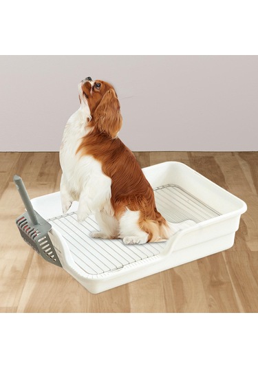 Homyl Dayanıklı Paslanmaz Çelik Hasır Beyaz-aralığı-18mm