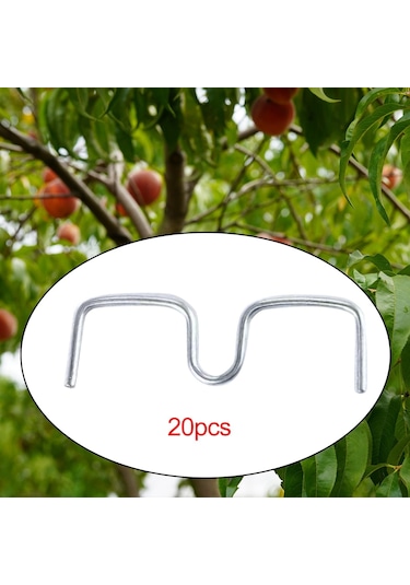 Suntek Meyve Ağacı Dalları 10 Cm Şekillendirme Için Uzun-10cm