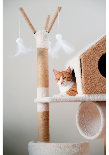 Kuara Bella Kedi Ağacı 3 Katlı Tırmalama Direği Yatak ve Oyuncaklı