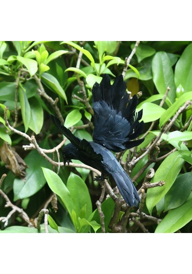 Suntek Açık Bahçe Ev Dekorasyonu Için Yapay Gerçekçi