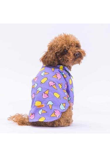 Pawstar Ice Cream Kedi Köpek Gömleği