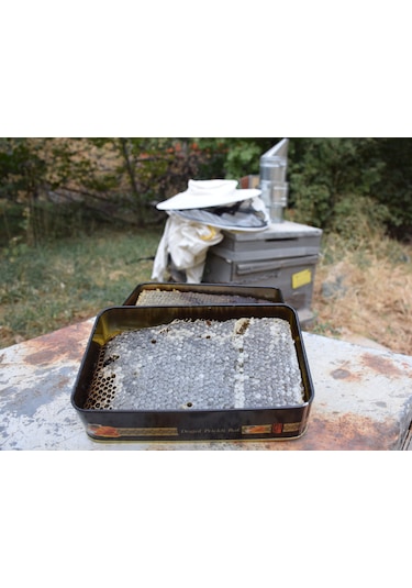 Şehri Şemdinli Petek Bal 1 KG