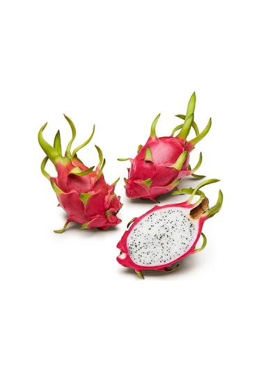 Ejder Meyvesi Ağacı Fidanı Kırmızı 3 Adet 15 Cm Köksüz Çelik Saks